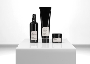 makeup-art-annett-anders-dresden-skin-regiment